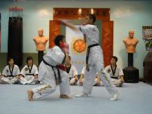 DSC02869.JPG