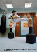 _T270032+.jpg